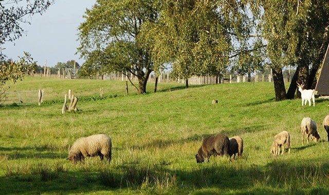 Arche Warder in Warder mieten eventano